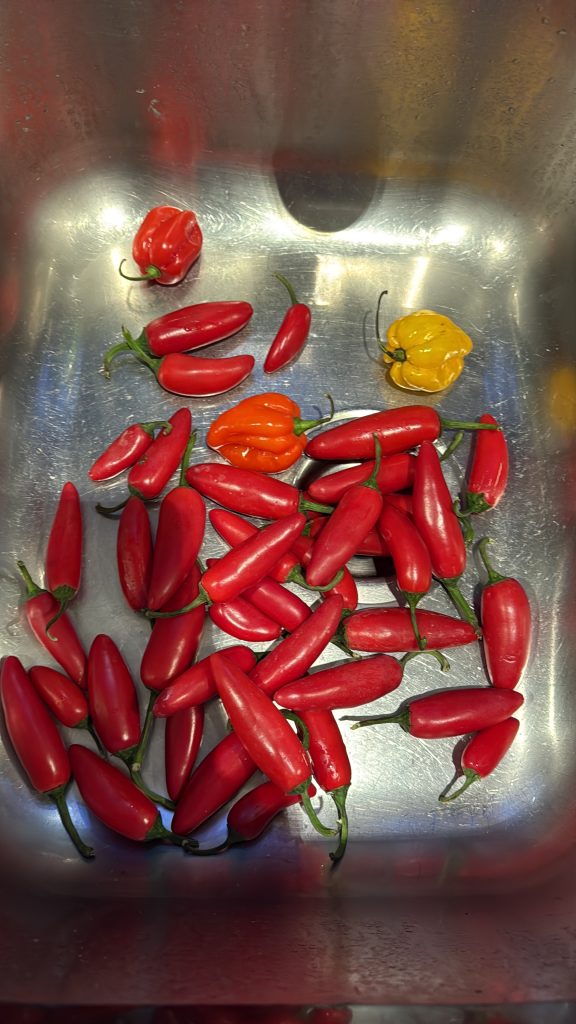 The Art of Drawing Readers In: Your attractive post title goes here